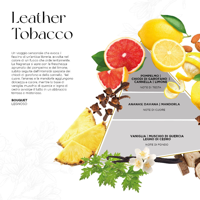Scheda della fragranza Leather Tobacco del profumatore Opal