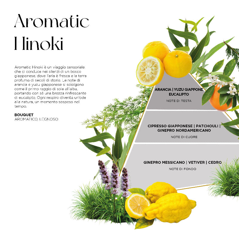 Scheda della fragranza Aromatic Hinoki del profumatore Opal