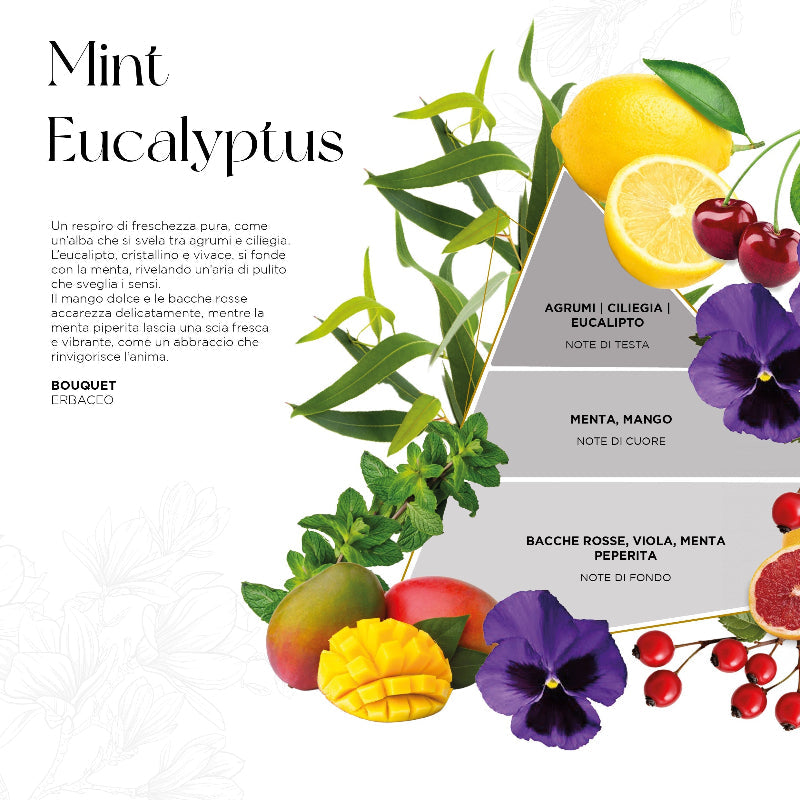 Scheda della fragranza Mint Eucalyptus del profumatore Opal