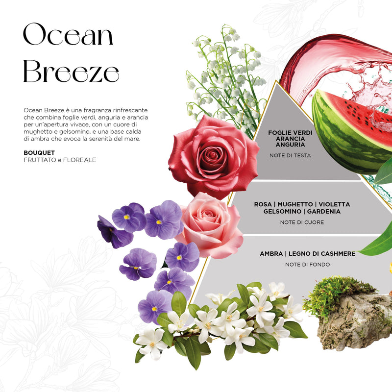 Scheda della fragranza Ocean Breeze del profumatore Opal
